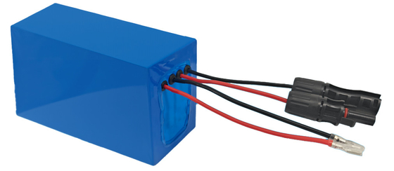 ECOLITE 24Volt 太陽電池トラッカー 太陽電池システム用 リチウム電池
